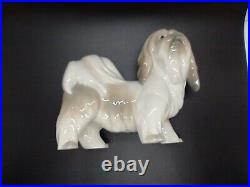 Lladro Dog Porcelain Lhasa Apso/tibetan Terrier Rare Glazed Figurine