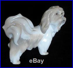 Lladro Dog Porcelain Lhasa Apso/tibetan Terrier Rare Glazed Figurine #4642 Mint