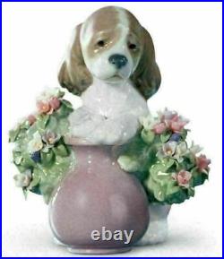 Lladro Dog Puppy Take Me Home Figurine 01006574
