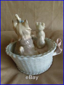 Lladro Dog and Puppy in basket #6469