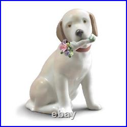 Lladro Family Pets Collection This Bouquet is for You Dog Porcelain Fig 1009256