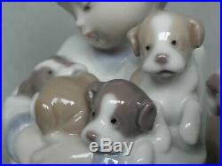 Lladro Figurine 5456 New Playmates Young Boy With Dog & Puppies