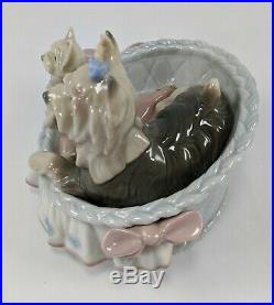 Lladro Figurine 6469 Our Cozy Home Yorkshire Terrier Dogs in Basket Bed with Box