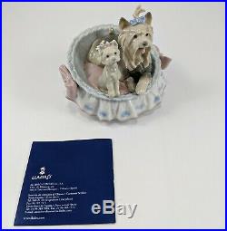 Lladro Figurine 6469 Our Cozy Home Yorkshire Terrier Dogs in Basket Bed with Box