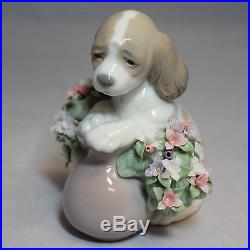 Lladro Figurine, 6574 Take Me Home (dog w flowers), 4.2H $465 V
