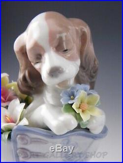 Lladro Figurine A WELL HEELED PUPPY DOG & FLOWER SHOE #6744 Retired Mint Box
