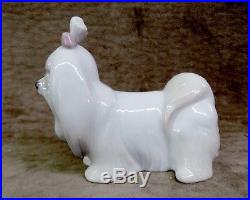 Lladro Figurine, Maltese, 1008368, Mib, Dog