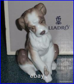 Lladro Figurine New Friend Puppy Dog With Snail On Paw #6211 With Original Box