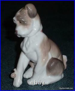 Lladro Figurine New Friend Puppy Dog With Snail On Paw #6211 With Original Box