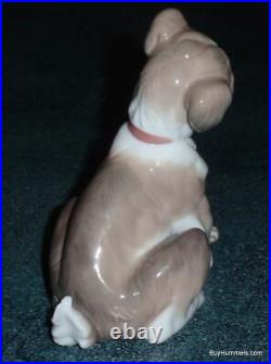 Lladro Figurine New Friend Puppy Dog With Snail On Paw #6211 With Original Box