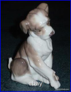 Lladro Figurine New Friend Puppy Dog With Snail On Paw #6211 With Original Box