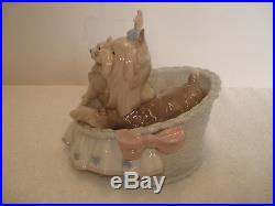 Lladro Figurine OUR COZY HOME #06469 Yorkshire Yorkie Dogs Mint