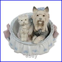 Lladro Figurine Our Cozy Home #6469 Porcelain Yorkie Yorshire Terrier READ