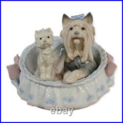 Lladro Figurine Our Cozy Home #6469 Porcelain Yorkie Yorshire Terrier READ