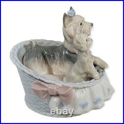 Lladro Figurine Our Cozy Home #6469 Porcelain Yorkie Yorshire Terrier READ