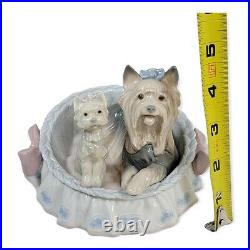 Lladro Figurine Our Cozy Home #6469 Porcelain Yorkie Yorshire Terrier READ