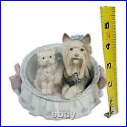 Lladro Figurine Our Cozy Home #6469 Retired Porcelain Yorkie Yorshire Terrier
