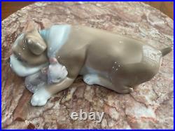 Lladro Friends Unlikely Friends (Bull Dog and Kitten) No. 6417 Retired