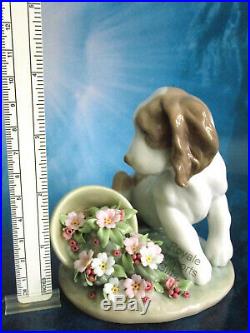 Lladro It Wasn't Me 7672 Dog With Flower Pot 1998 Club New In Box Vintage