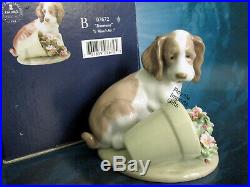 Lladro It Wasn't Me 7672 Dog With Flower Pot 1998 Club New In Box Vintage