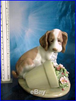 Lladro It Wasn't Me 7672 Dog With Flower Pot 1998 Club New In Box Vintage