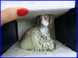 Lladro It Wasn't Me 7672 Dog With Flower Pot 1998 Club New In Box Vintage