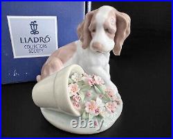 Lladro It Wasn't Me 7672 Spaniel Puppy Dog Flowers Figurine with Box