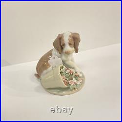 Lladro It Wasn't Me Dog Porcelain Figurine 07672 Retired MIB