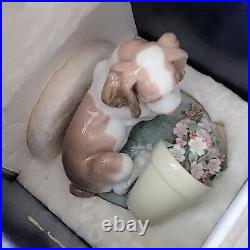 Lladro It Wasn't Me Dog with Flowers And Flowerpot Figurine 7672 Original Box EUC