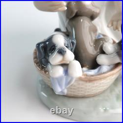 Lladro Joy In a Basket #5595 Girl With Puppies Glossy Figurine