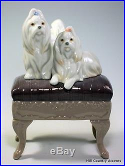Lladro Looking Pretty #6688 2 Maltese Dogs On Stool $490 V Free Ship Mib