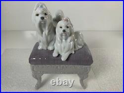 Lladro Looking Pretty Pair of Maltese Dogs on Bench Gloss Finish Figurine 6688