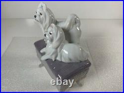 Lladro Looking Pretty Pair of Maltese Dogs on Bench Gloss Finish Figurine 6688