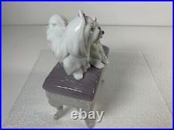 Lladro Looking Pretty Pair of Maltese Dogs on Bench Gloss Finish Figurine 6688