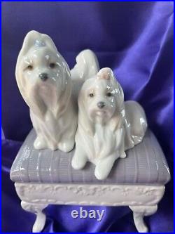 Lladro Maltese Dogs Looking Pretty #6688 Porcelain Figurine with orig. Box