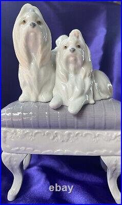 Lladro Maltese Dogs Looking Pretty #6688 Porcelain Figurine with orig. Box