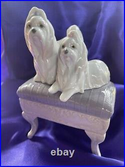 Lladro Maltese Dogs Looking Pretty #6688 Porcelain Figurine with orig. Box