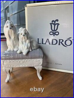 Lladro Maltese Dogs Looking Pretty #6688 Porcelain Figurine with orig. Box