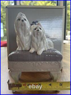 Lladro Maltese Dogs Looking Pretty #6688 Porcelain Figurine with orig. Box