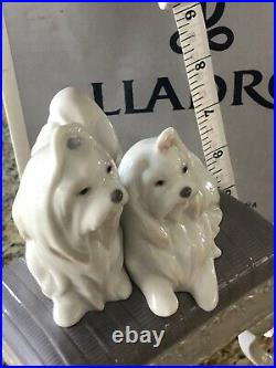 Lladro Maltese Figurine Dogs On Bench