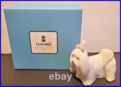 Lladro Maltese / Maltes Dog Figurine #8368 Brand New In Box