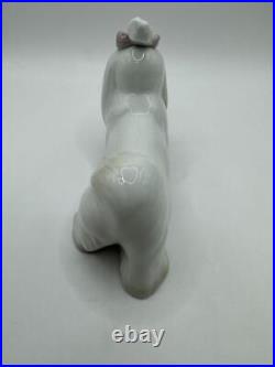 Lladro Maltese Small Dog Elegant Graceful Formal Luxury Spain Figurine Japan