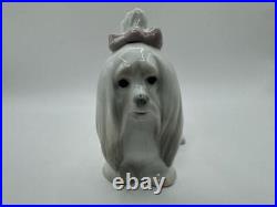 Lladro Maltese Small Dog Elegant Graceful Formal Luxury Spain Figurine Japan