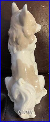 Lladro NAO Long Haired Chihuahua Papillon Glossy! Mint Condition! No Box! Rare