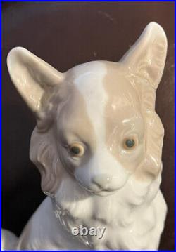 Lladro NAO Long Haired Chihuahua Papillon Glossy! Mint Condition! No Box! Rare