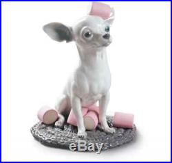 Lladro New Figurine Dog Chihuahua With Marshmallows 01009191 Brand New