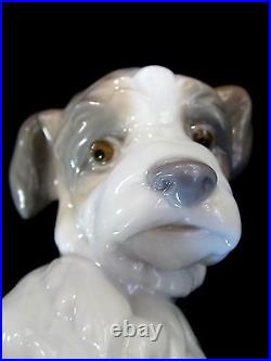 Lladro New Friend Dog Figurine #6211 Brand New In Box Puppy Animals Save$$ F/sh