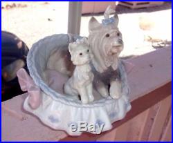 Lladro OUR COZY HOME #06469 Yorkshire Yorkie Dogs Mint Porcelain Figurine
