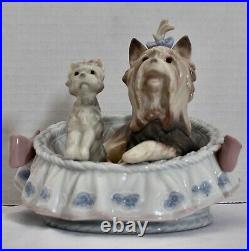 Lladro OUR COZY HOME by José Luis Alvarez. DOGS. Rare Signature Juan Lladro MINT