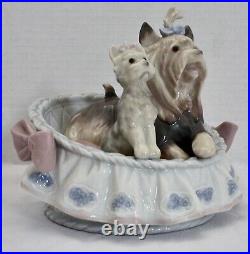 Lladro OUR COZY HOME by José Luis Alvarez. DOGS. Rare Signature Juan Lladro MINT